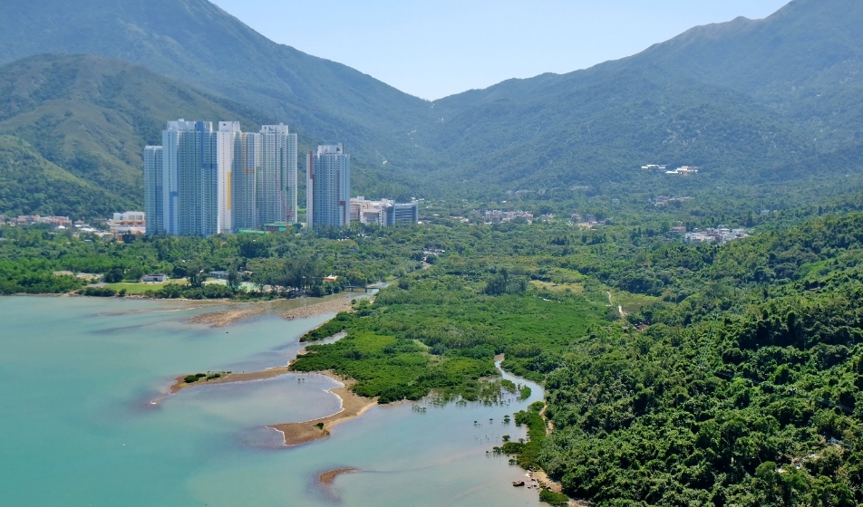 東涌河首次發(fā)現(xiàn)亞洲秘蜻 環(huán)團(tuán)促保育鄰近濕地生態(tài)