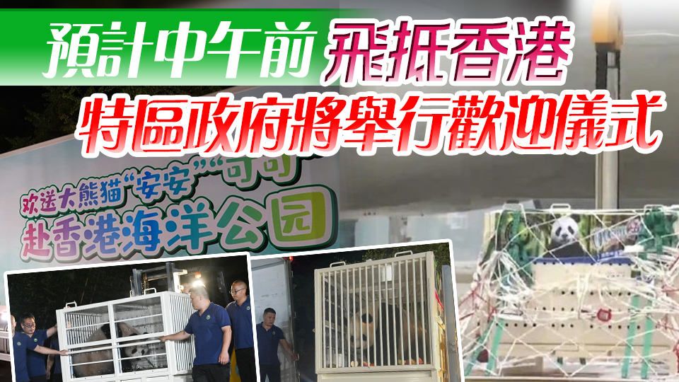 大熊貓「安安」「可可」乘專機(jī)從成都雙流機(jī)場起飛 踏上來港之路